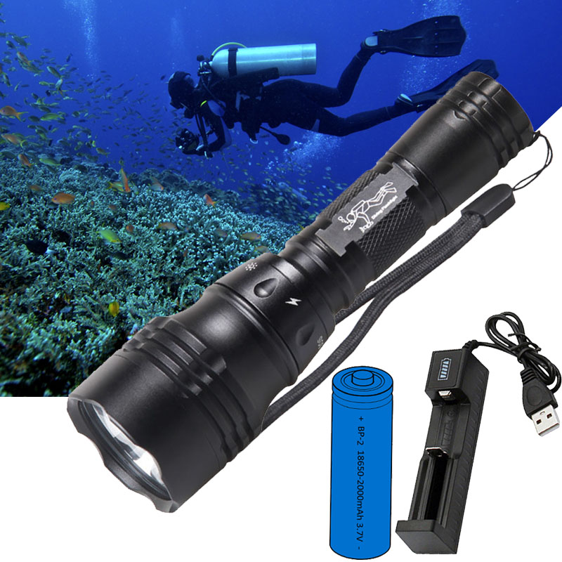 다이빙 램프 휴대용 10W T6 L2 LED 18650 - Fish Finder Charger 리뷰 및 가격